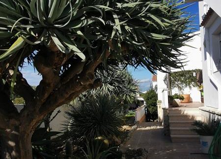 IMG_20201125_120319 (Copy)