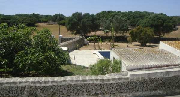 DSC02581_600x450 (Copy)